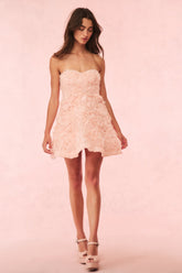 Bellamina Organza Rose Mini Dress