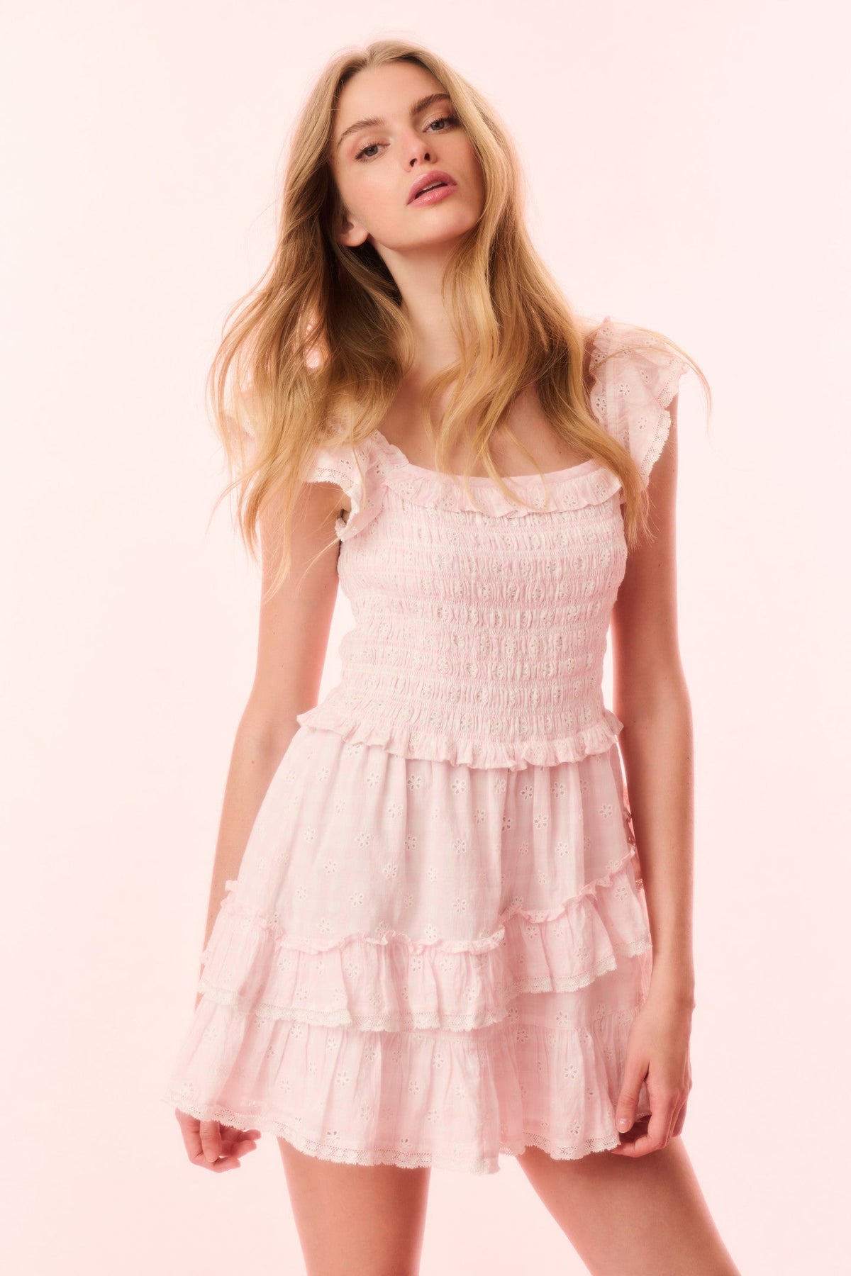 Aline Gingham Eyelet Mini Dress
