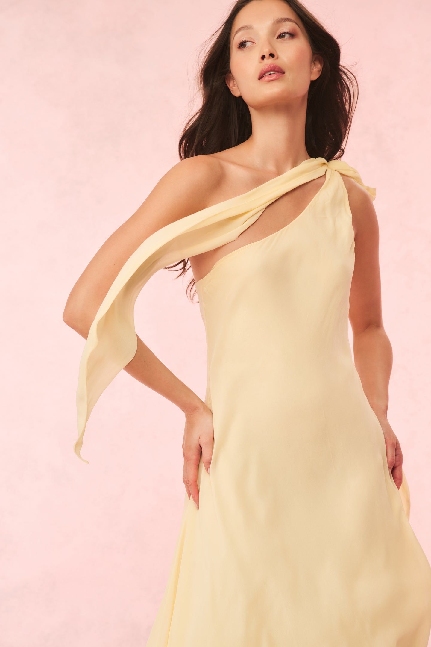 Alliara Chiffon One-Shoulder Gown