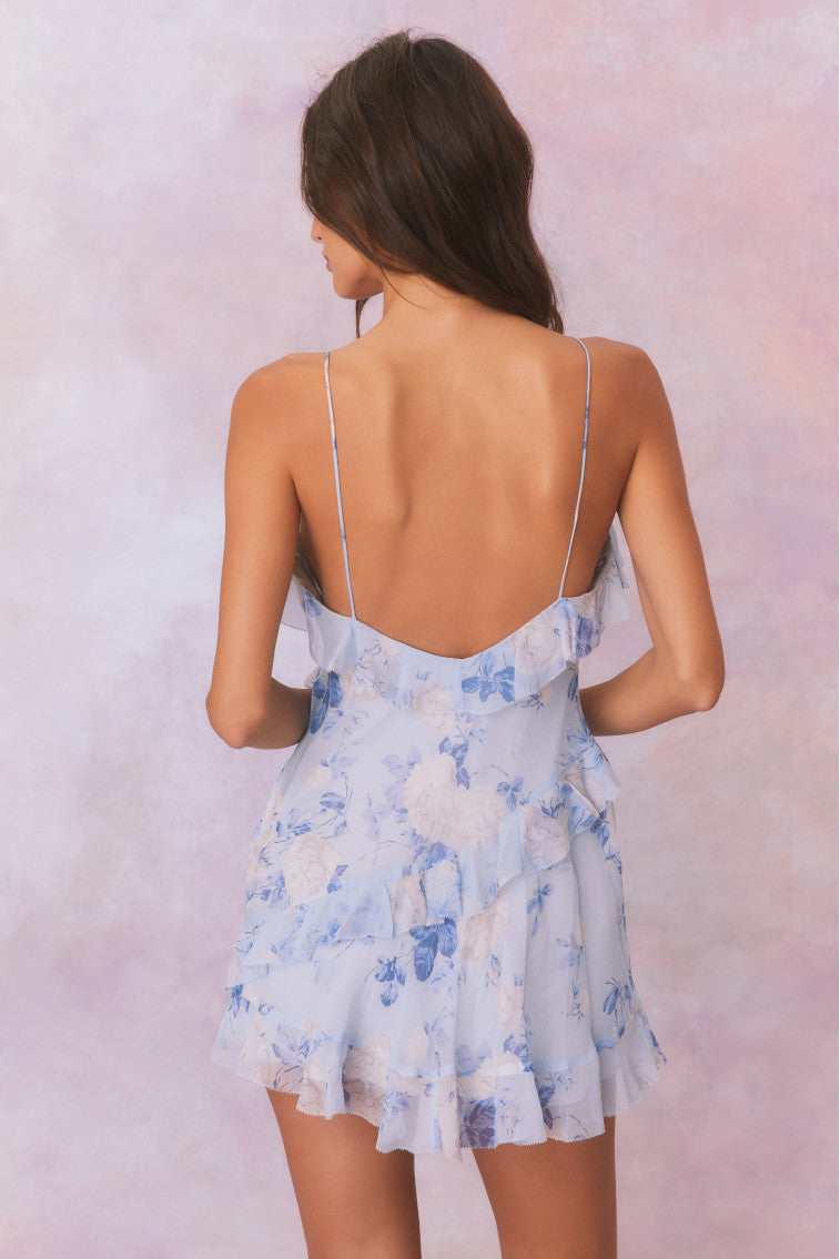 Lomina Heirloom Print Silk Mini Dress