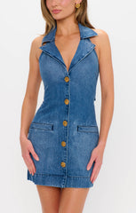 Darien Dress ~ Bluebird