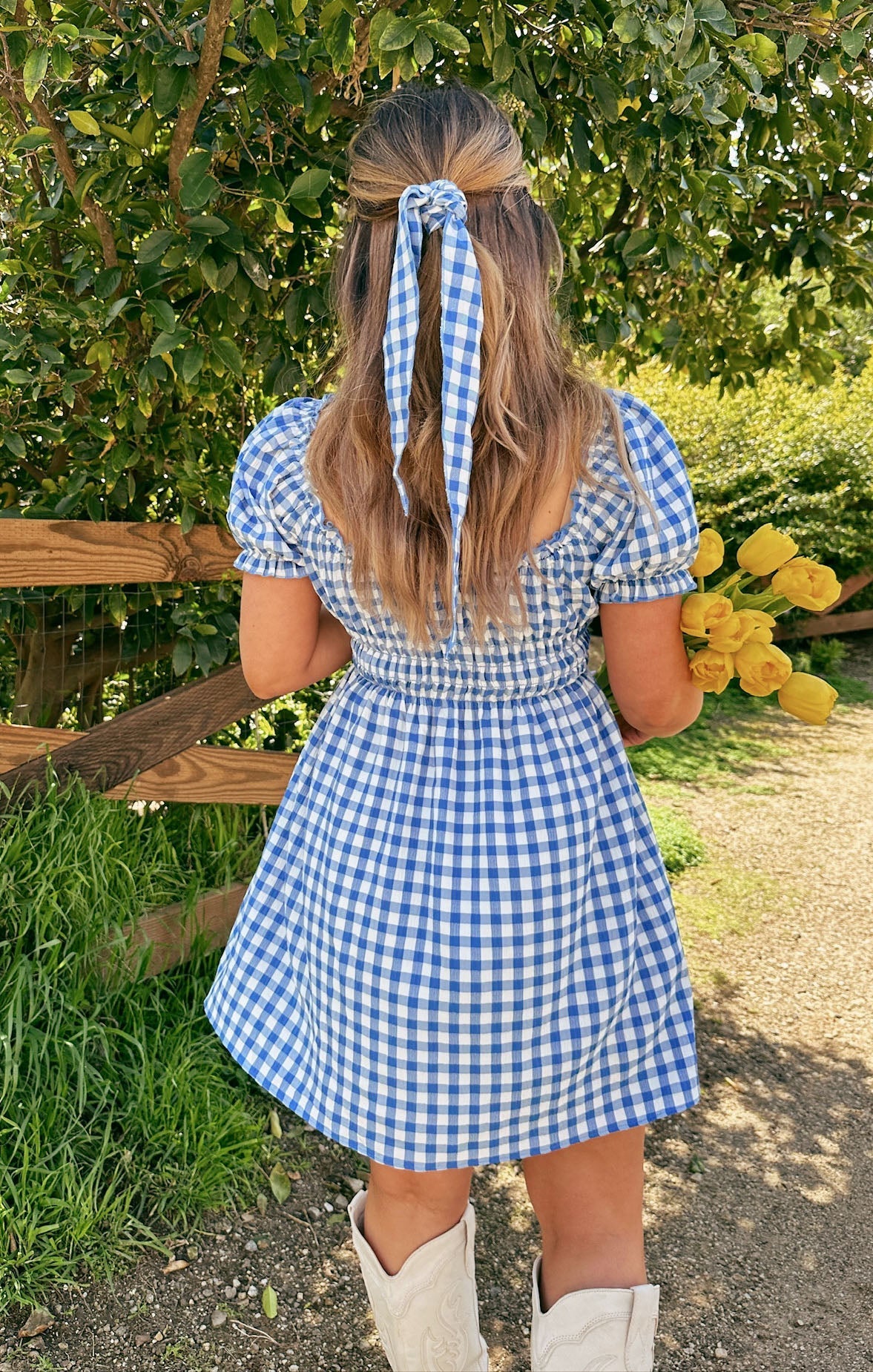 Esme Mini Dress ~ Blue Bounty Gingham